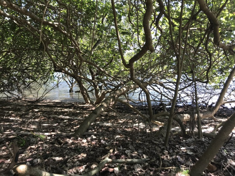 67 Coondooroopa Drive, Macleay Island QLD 4184
