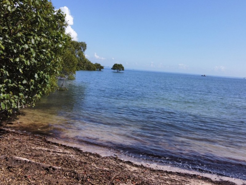67 Coondooroopa Drive, Macleay Island QLD 4184