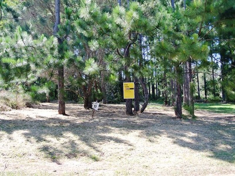 16 Jordan Street, Macleay Island QLD 4184