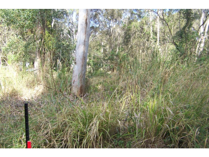 11 Goodsell cres, Lamb Island QLD 4184