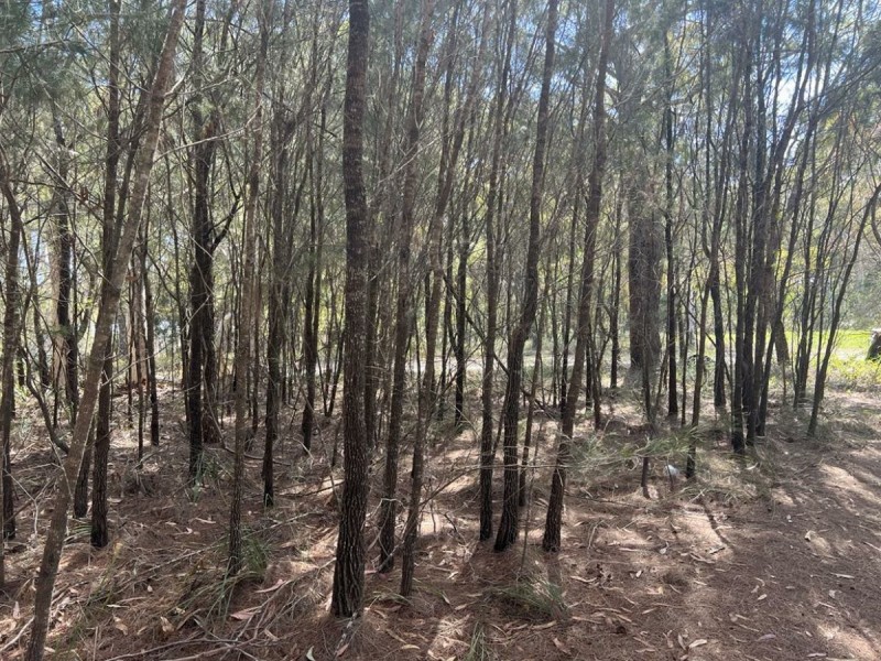 16 Wirralee Street, Macleay Island QLD 4184
