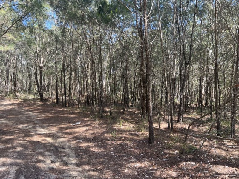 16 Wirralee Street, Macleay Island QLD 4184
