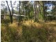 6 Dinjerra Street, Macleay Island QLD 4184