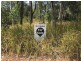 6 Dinjerra Street, Macleay Island QLD 4184