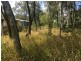 6 Dinjerra Street, Macleay Island QLD 4184