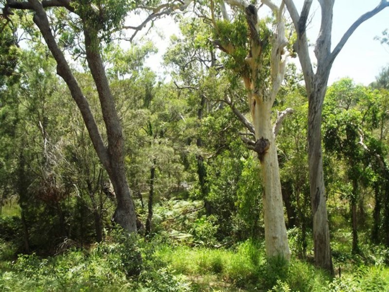 24-26 Timothy Street, Macleay Island QLD 4184