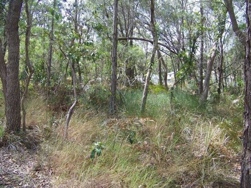 20 Pier Haven, Lamb Island QLD 4184