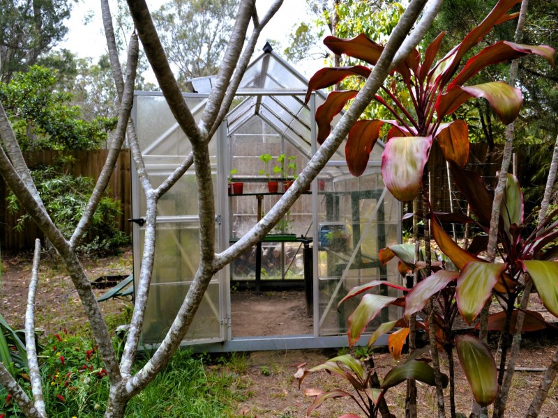 5 Kestrel Street, Macleay Island QLD 4184