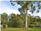44, Gordon Road, Macleay Island QLD 4184
