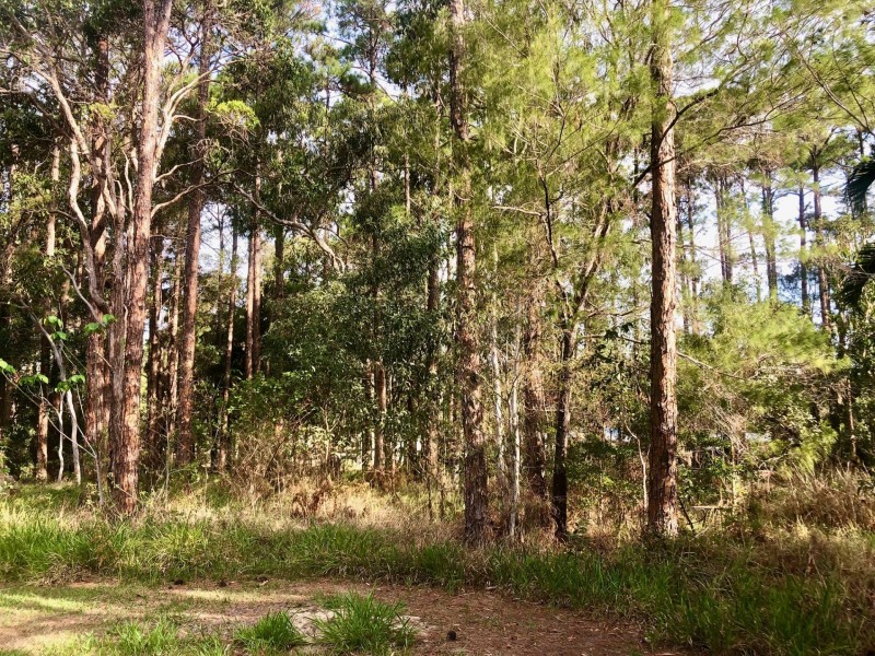 39 Kevin Street, Macleay Island QLD 4184