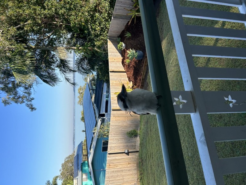 18 Kim Crescent, Macleay Island QLD 4184