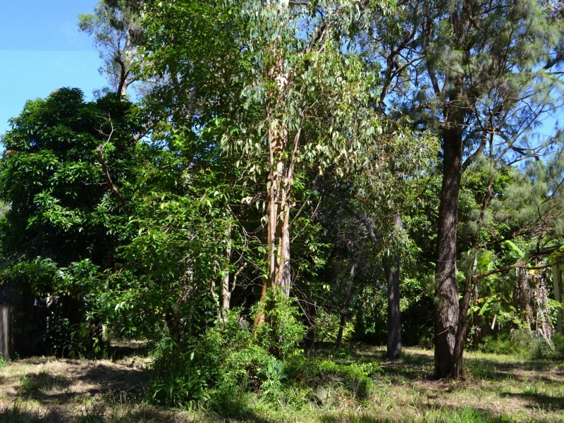 33 Cooee Crescent, Macleay Island QLD 4184