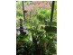 5-9 Weeroona Ave, Macleay Island QLD 4184