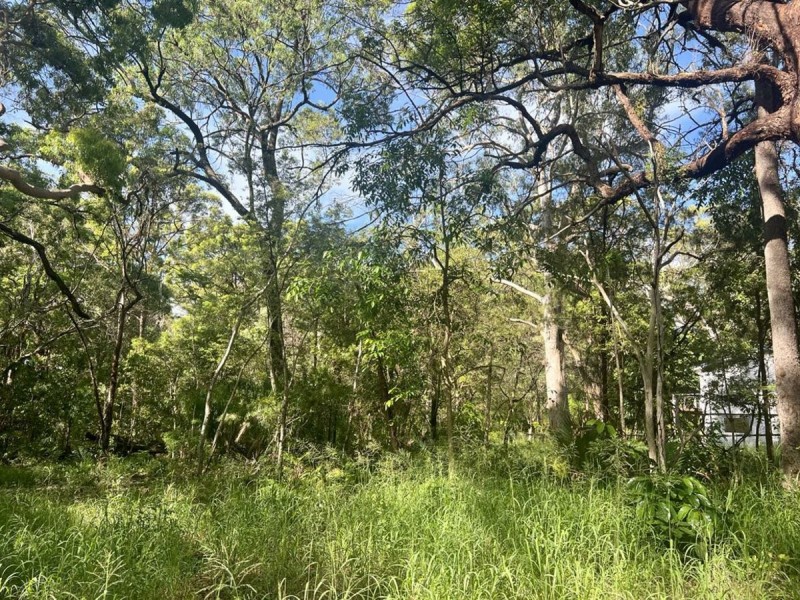 19 Noogie Street, Macleay Island QLD 4184