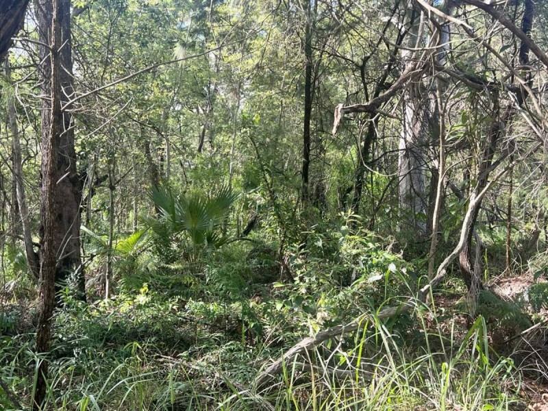 19 Noogie Street, Macleay Island QLD 4184