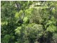 6 Cliff Terrace, Macleay Island QLD 4184