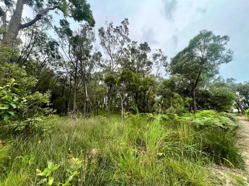 19 Cathy Street, Macleay Island QLD 4184