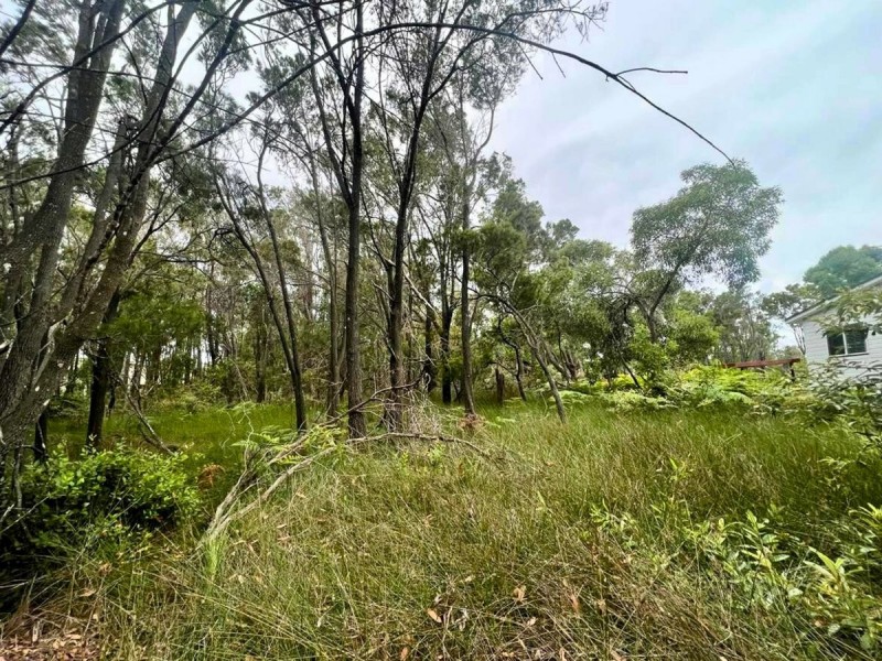 19 Cathy Street, Macleay Island QLD 4184