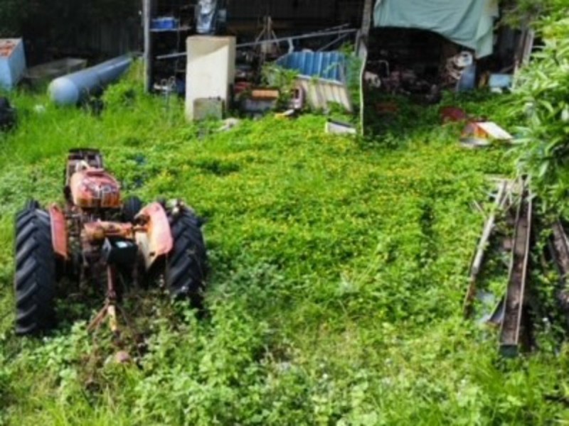 17 Wyena Avenue, Lamb Island QLD 4184