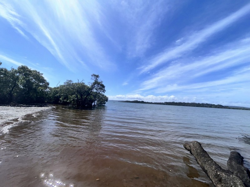 20 Citron Street, Macleay Island QLD 4184