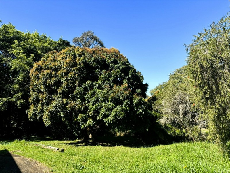 22-24 Pine ave, Lamb Island QLD 4184