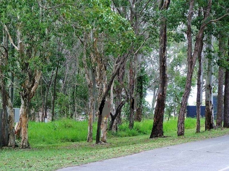 46 Coondooroopa Drive, Macleay Island QLD 4184