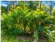 73 Eastbourne Terrace, Macleay Island QLD 4184