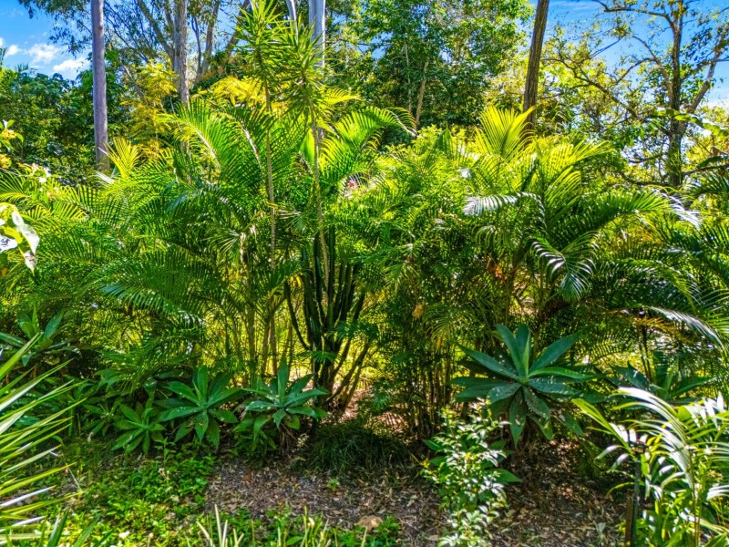 73 Eastbourne Terrace, Macleay Island QLD 4184