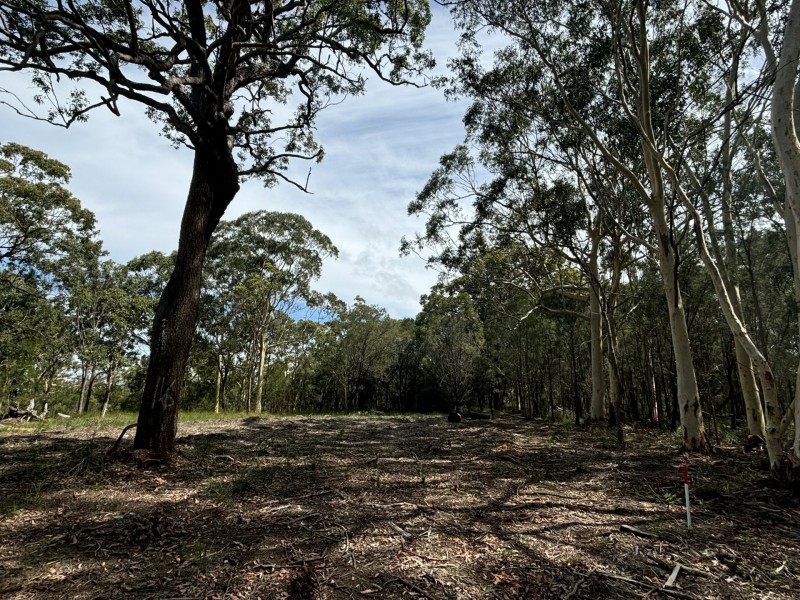16 Wirralee Street, Macleay Island QLD 4184