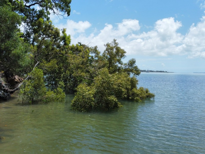 72 Timothy Street, Macleay Island QLD 4184
