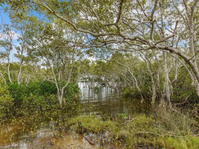 78 Charles street, Macleay Island QLD 4184
