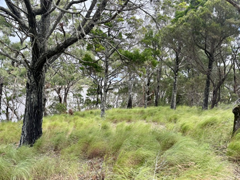 6-8 & 12-1 High Central Road, Macleay Island QLD 4184