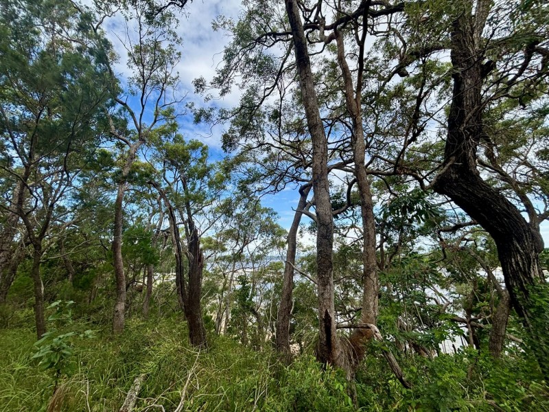 6-8 & 12-1 High Central Road, Macleay Island QLD 4184