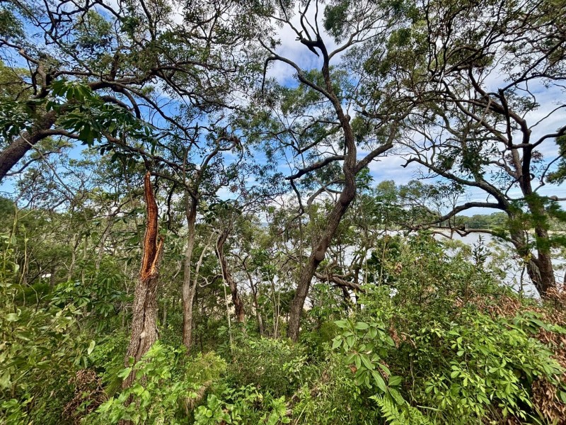 6-8 & 12-1 High Central Road, Macleay Island QLD 4184