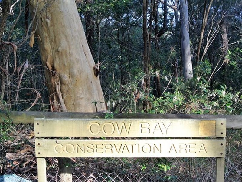 62 Beelong Street, Macleay Island QLD 4184