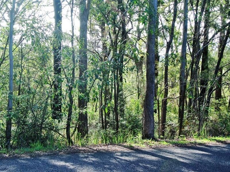 14 Waterside Drive, Macleay Island QLD 4184