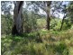 99 Perulpa Drive, Lamb Island QLD 4184