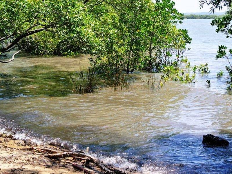 33 Coast Road, Macleay Island QLD 4184