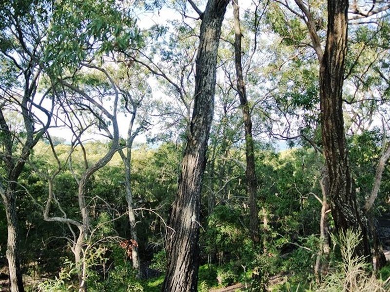 11 Beelong Street, Macleay Island QLD 4184