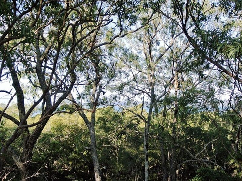 11 Beelong Street, Macleay Island QLD 4184