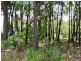 14 Oomool Street, Macleay Island QLD 4184