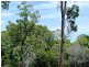 54 Coondooroopa Drive, Macleay Island QLD 4184