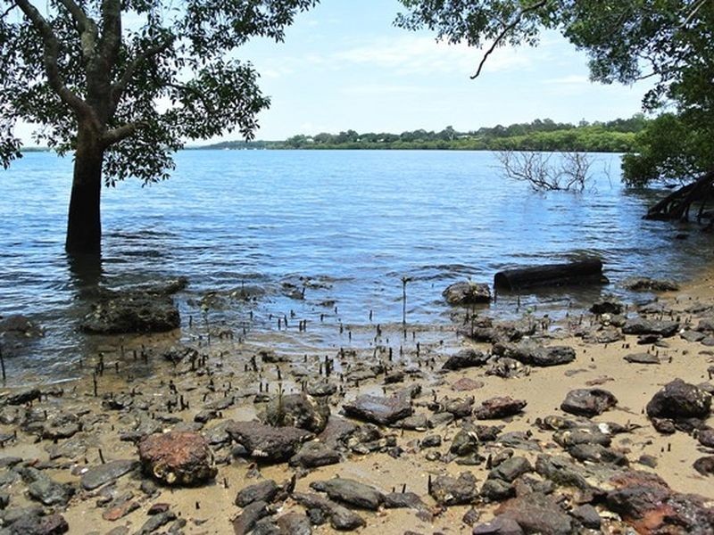 17 Cliff Terrace, Macleay Island QLD 4184