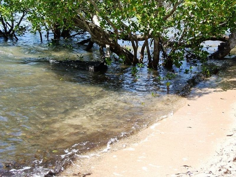 55 Beelong Street, Macleay Island QLD 4184