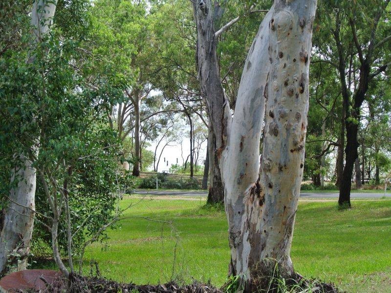 195 Kate Street, Macleay Island QLD 4184