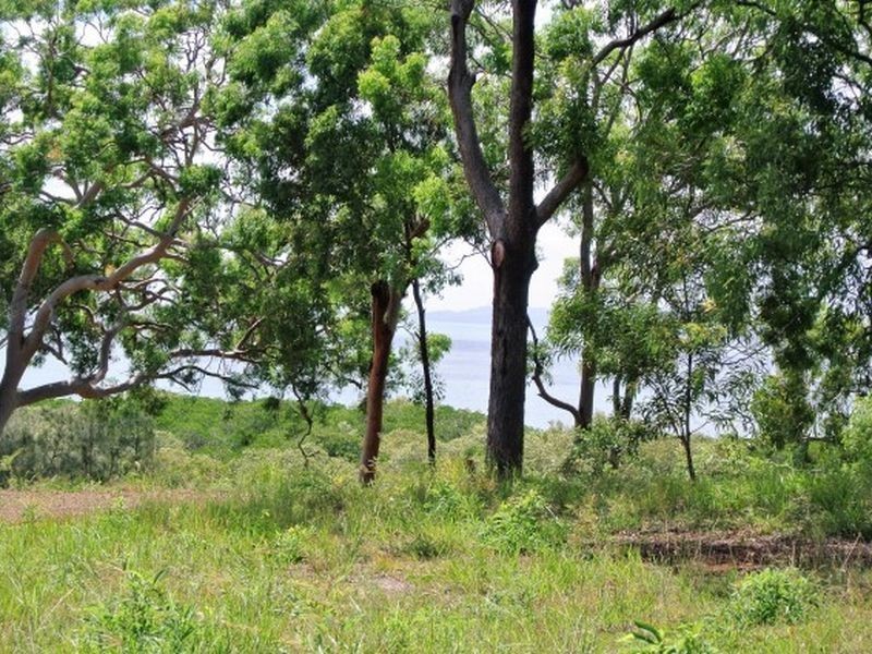 38 Blue Waters Crescent, Macleay Island QLD 4184