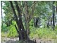 38 Timothy Street, Macleay Island QLD 4184