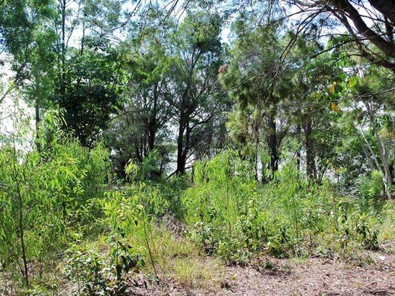 38 Timothy Street, Macleay Island QLD 4184