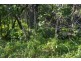 75 Perulpa Drive, Lamb Island QLD 4184