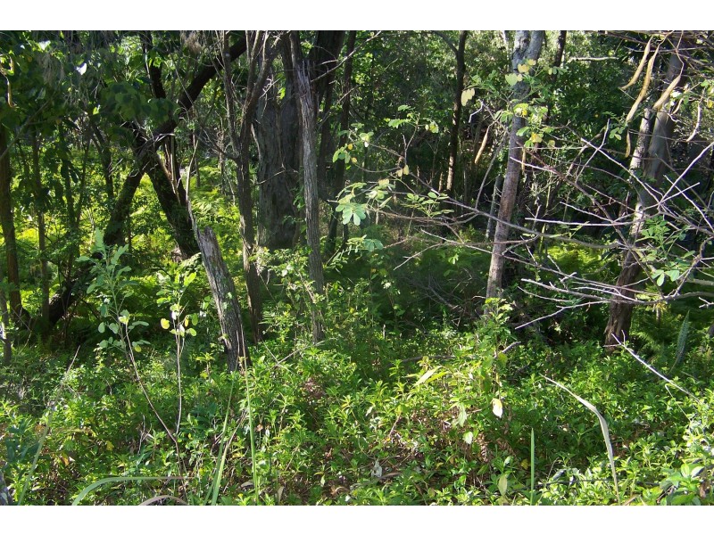 75 Perulpa Drive, Lamb Island QLD 4184